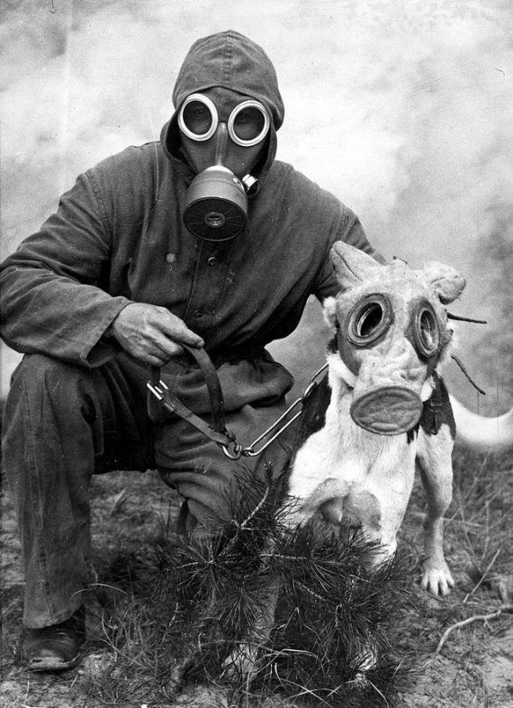 german-soldier-and-dog-wearing-gas-masks.jpg