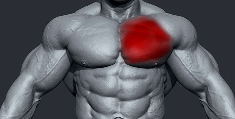 pectoralis-muscle-tear.jpg