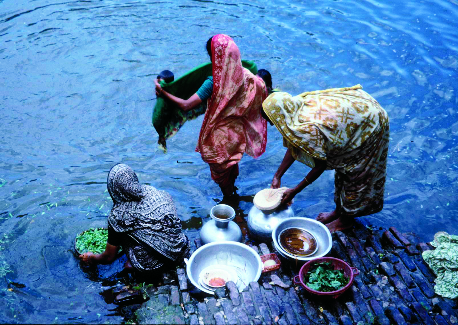 Washing_Utensils_And_Vegetables.png