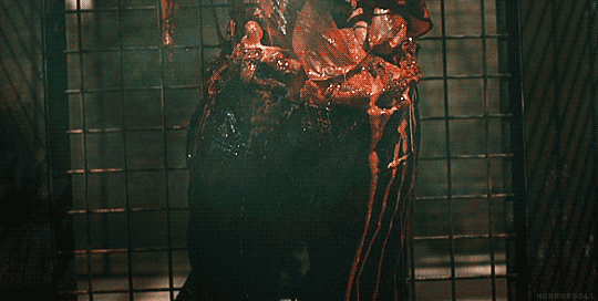 tumblr_nzd77yrncM1r2r5igo1_540.gif