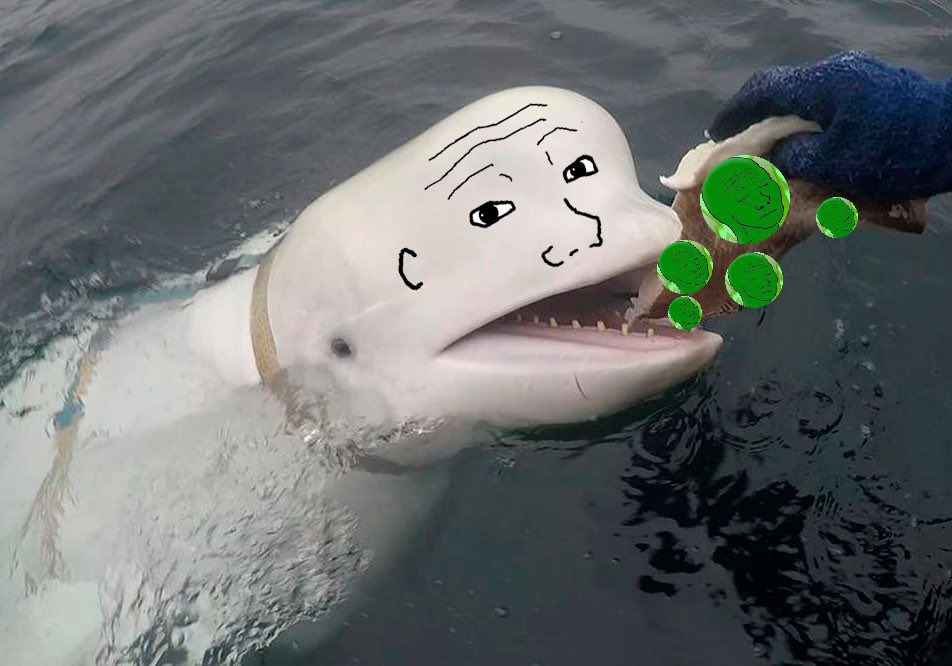 GOm1G-QXgAA1sDf.jpg