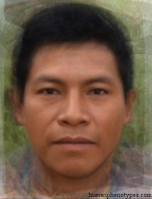westamazonidm.jpg