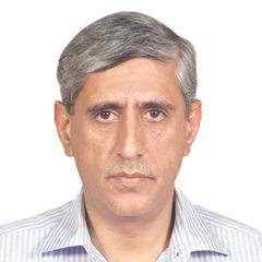 dailytimes-com-pk.cdn.ampproject.org