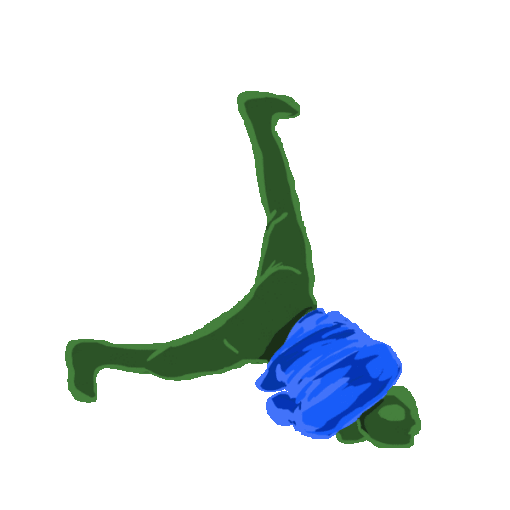 NMP.gif