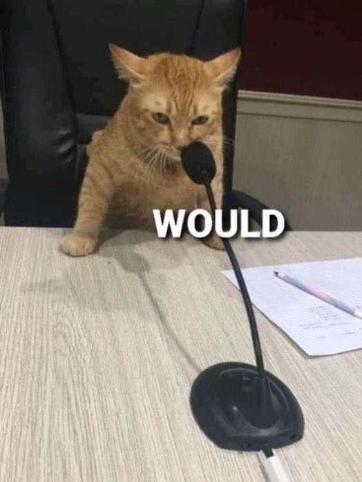 Would Microphone Cat Reaction Image | Know Your Meme