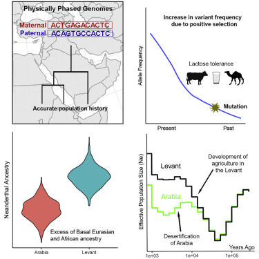 www.sciencedirect.com