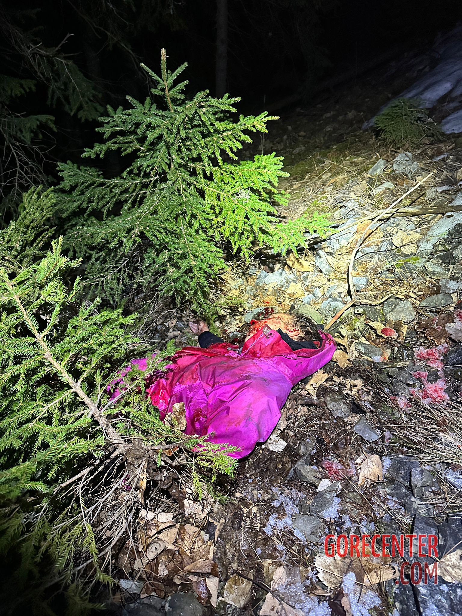 Woman-dies-in-bear-attack-in-Slovakia-1.jpg