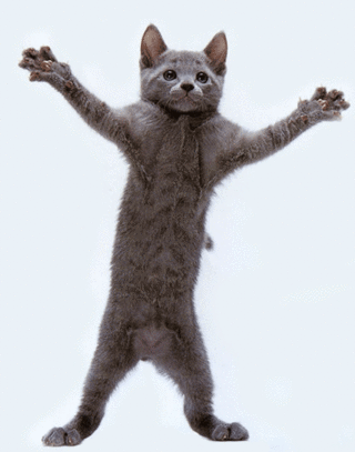 qSG2iK9.gif