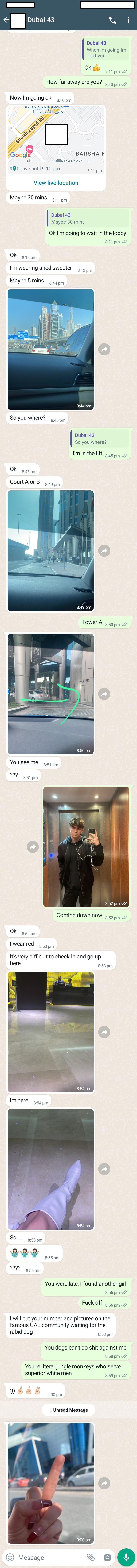 Malaysian-whore-travels-to-Dubai-hotel-exif-removal.jpg