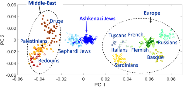 Ashkenazi jewish genetics tearing apart between Europe and Middle east :  r/Jewdank