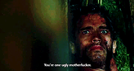26334726.gif