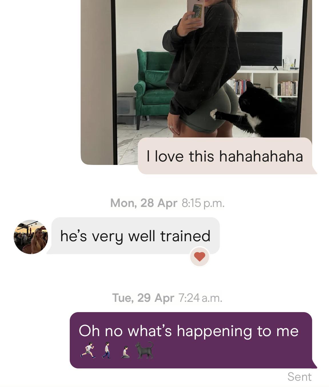 qn3r5obnihye1.jpeg