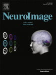 www.sciencedirect.com