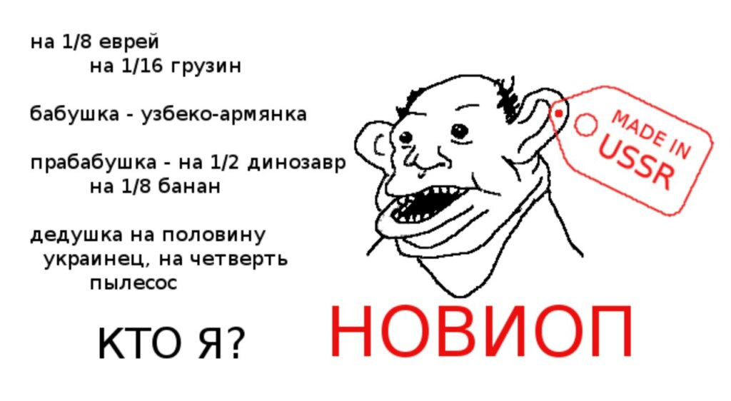 noviop-eto-1.jpg