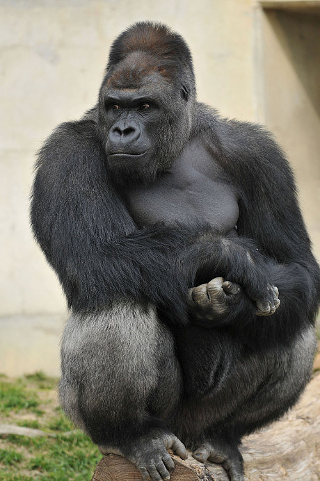 SHabani_deep_2_3355045c.jpg