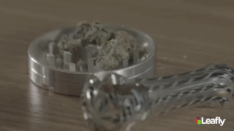 how-to-pack-a-bowl-of-cannabis.gif