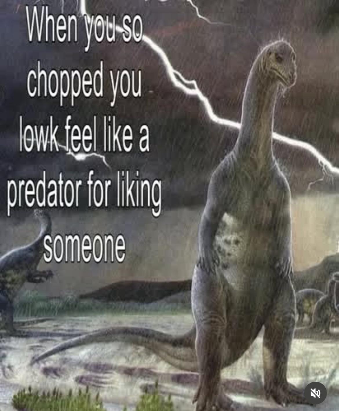 r/ugly - When you-so chopped you lowk feel like a predator for liking Someone 71