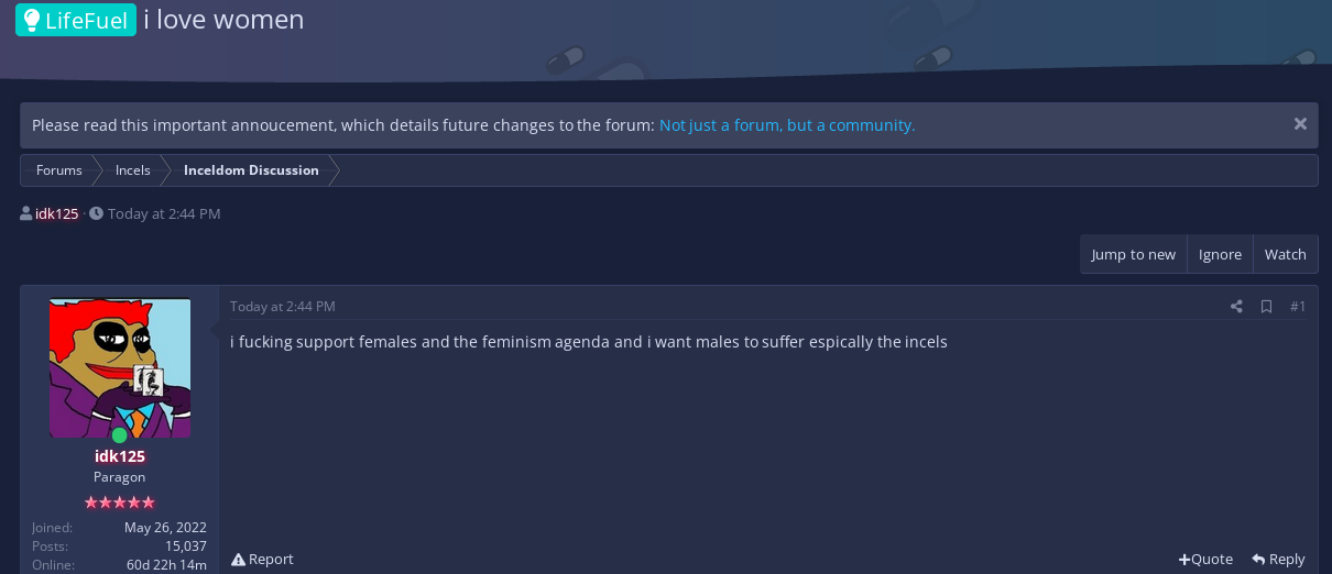 feminist.png