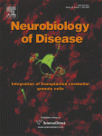 www.sciencedirect.com