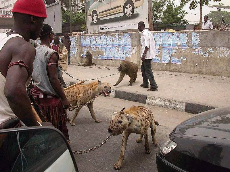 the-hyena-and-other-men-pieter-hugo-6.jpg