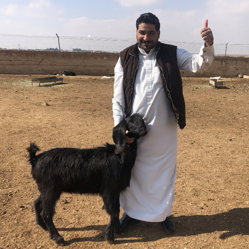 Arabic For Goat Cheap Sale | www.ptsaonline.org