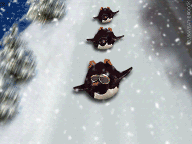 b29133eef953d70bac2232fa7f89ecfd.gif