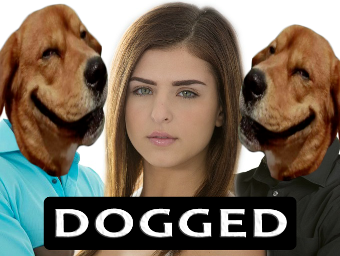 1500961847-dogged.png