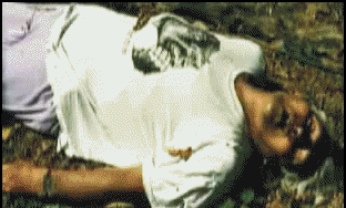 jip8v4.gif