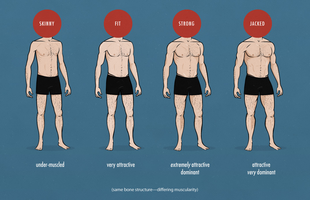 the-ideal-male-body-muscularity1.jpg