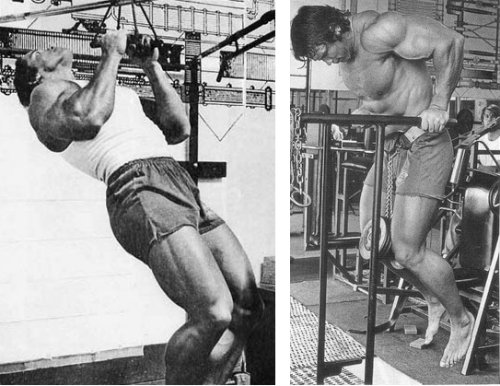 arnold-pull-up-dips.jpg