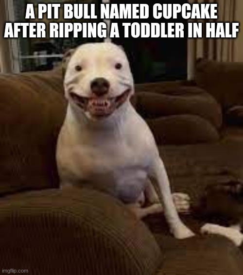 dogs Memes & GIFs - Imgflip