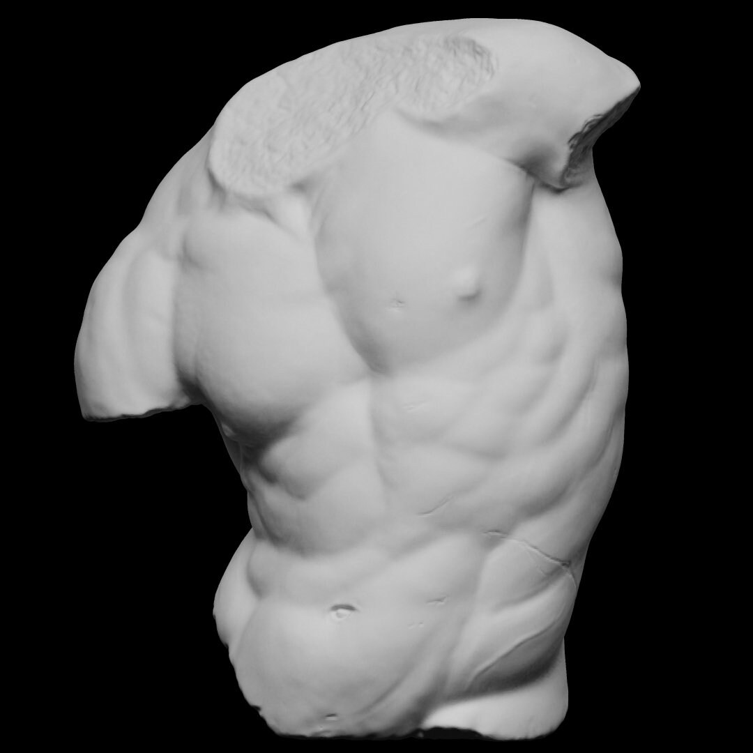 Male Torso Statue - Etsy