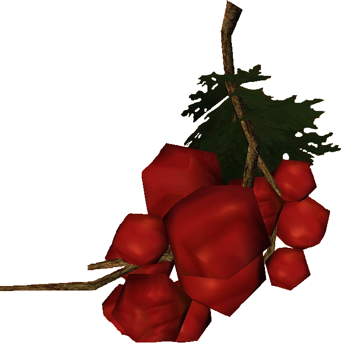 Grape_Vine.png