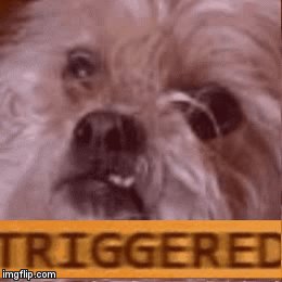 207qh0.gif
