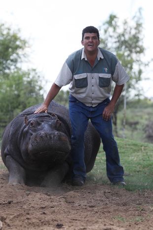 0_My-Pet-Hippo.jpg