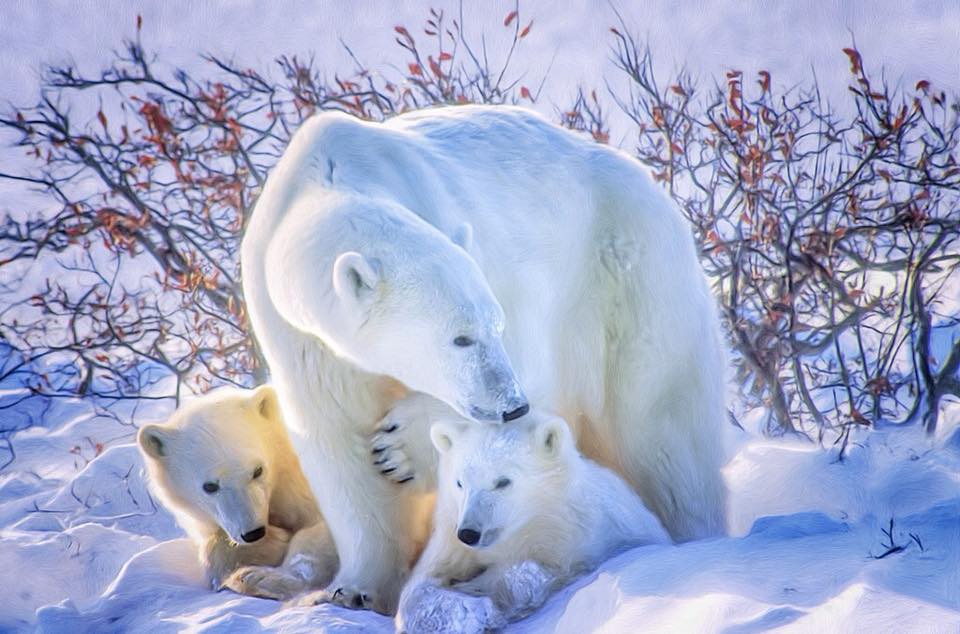 www.earthsendangered.com