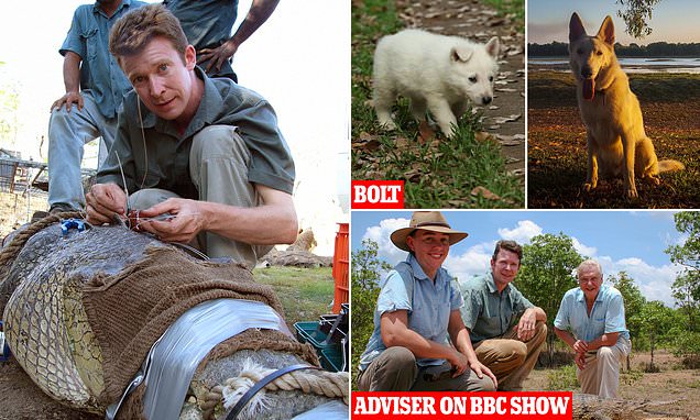 www.dailymail.co.uk