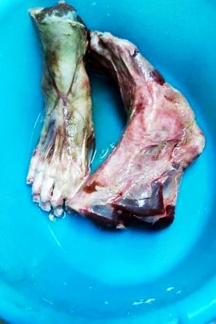 Did restaurant serve HUMAN FEET? Waiter claims Chinese eatery gave out  horrific dish and called it 'bear paws' - World News - Mirror Online