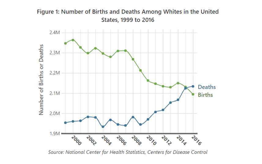 whites_births_and_deaths.PNG