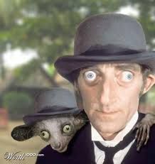 db468dc76d8ea4fdf9959b039d0e71c5--marty-feldman-funny-faces.jpg