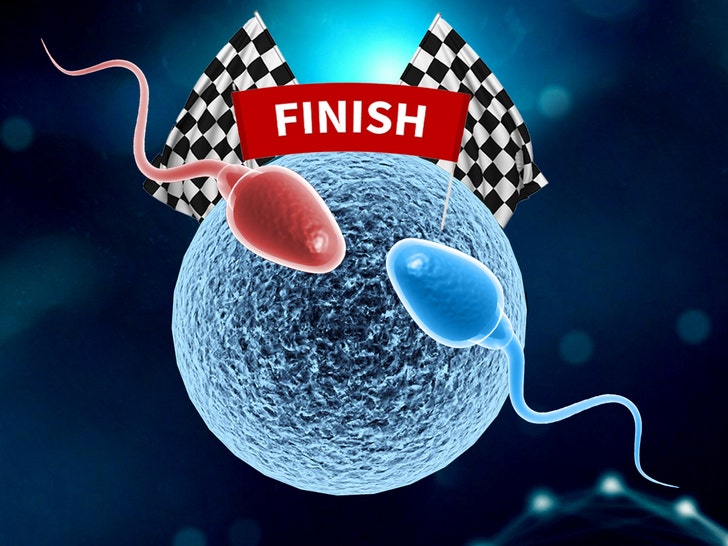 World's First Sperm Race Will Highlight Decline in Male Fertility