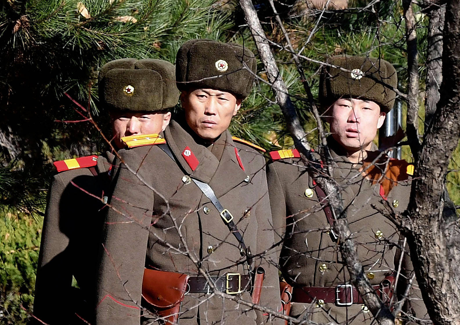 north-korea-soldiers-behind-bare-tree-5ykpw6dftynn7ect.jpg