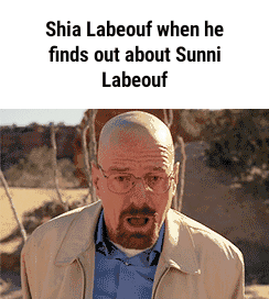 Shia LaBeouf: Image Gallery (List View) (List View) | Know Your Meme