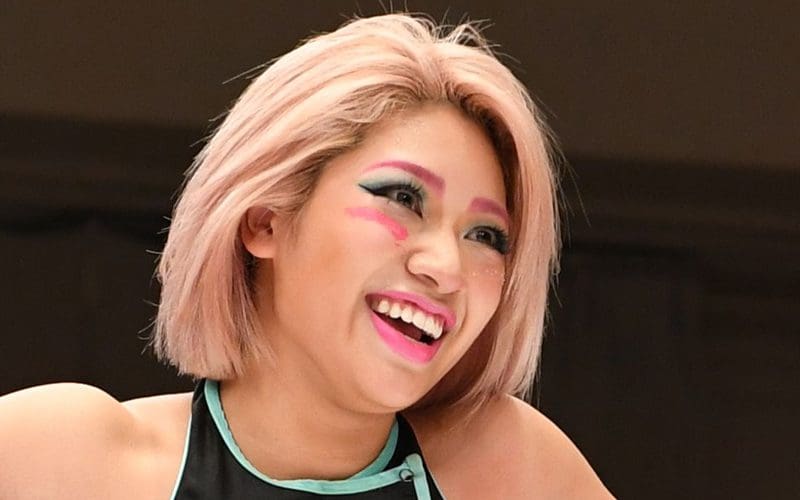 www.ringsidenews.com