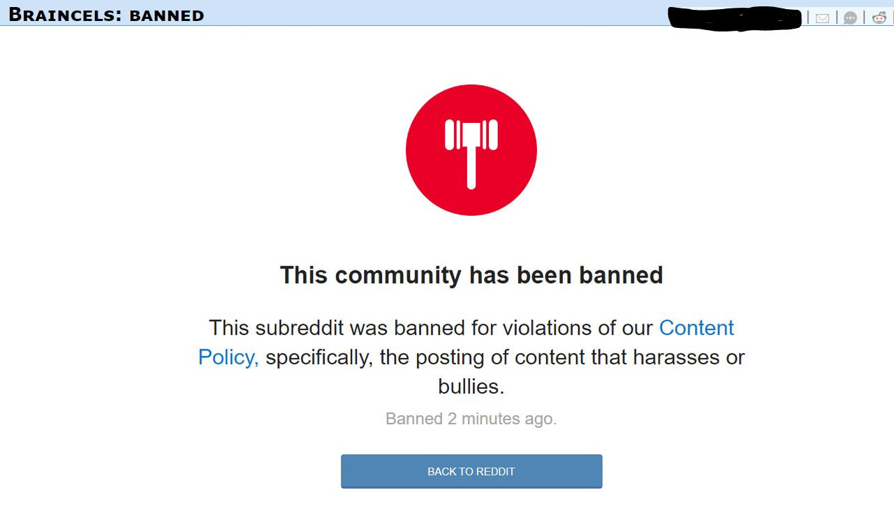 braincels.jpg