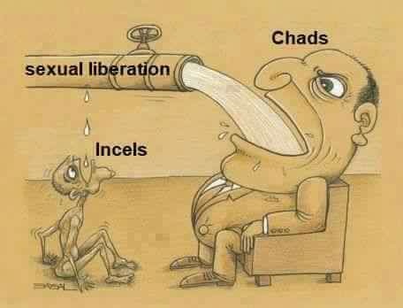 uN11gjQ.jpg