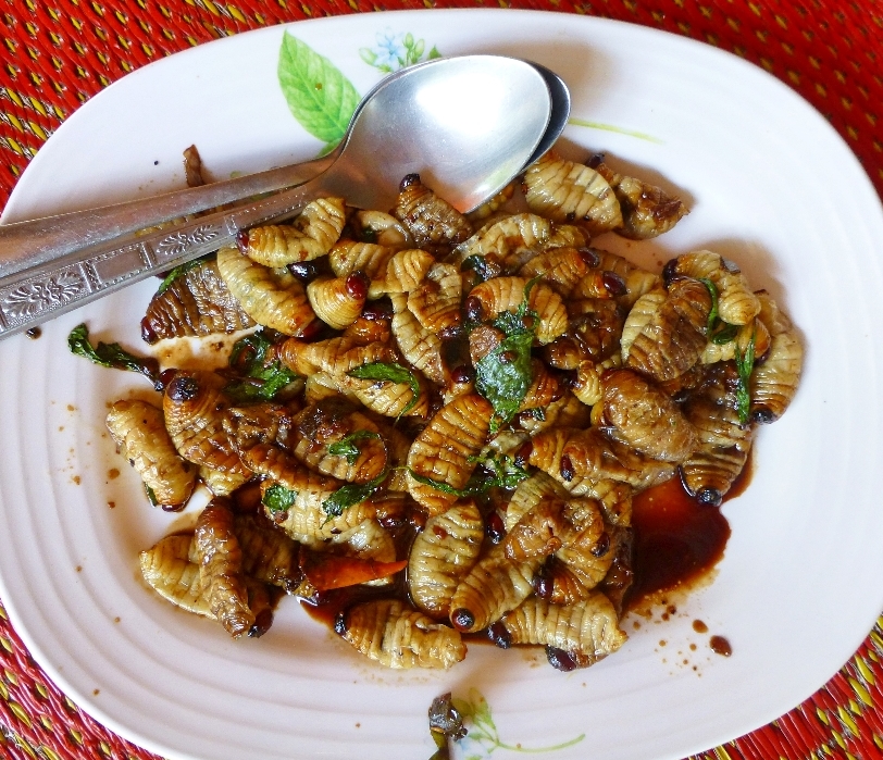 grubs-22.jpg