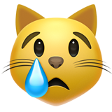crying-cat_1f63f.png