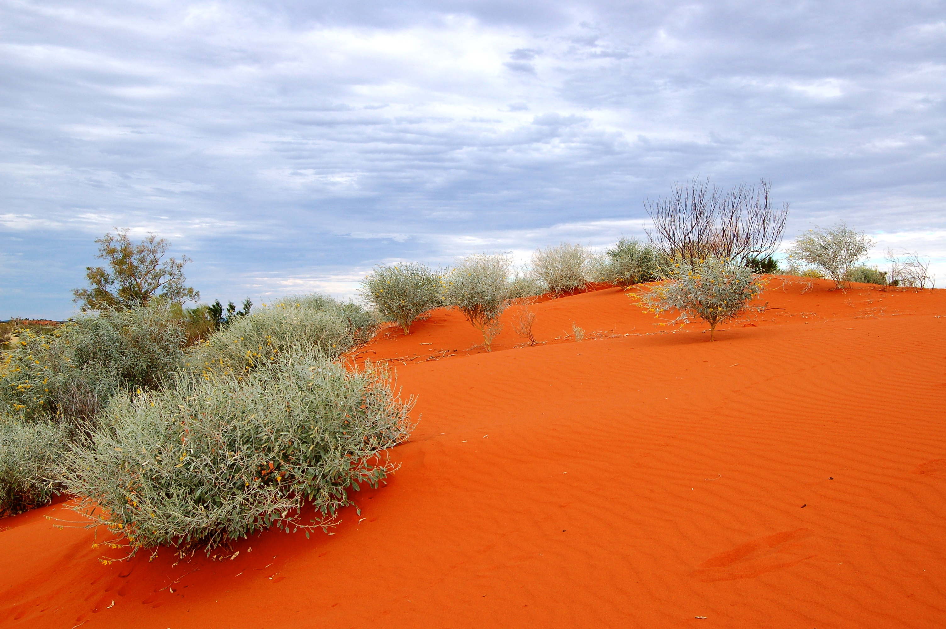 red-sand-dune-welford-np.jpg