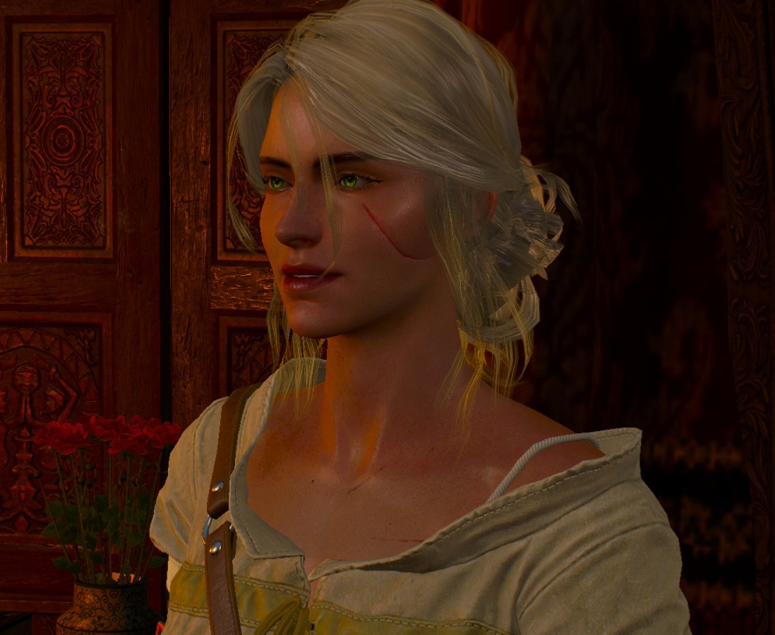 Bird on a Briar — Apparently I'm a huge fan of Ciri Less Makeup mod...